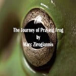The-Journey-of-Praying-Frog