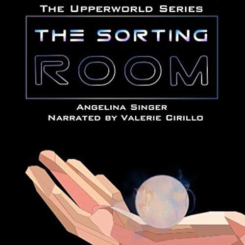 The-Sorting-Room