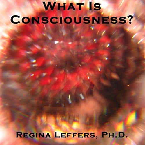 What-Is-Consciousness