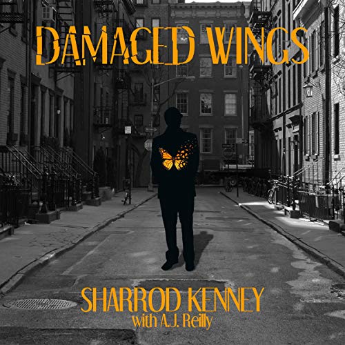 Damaged-Wings