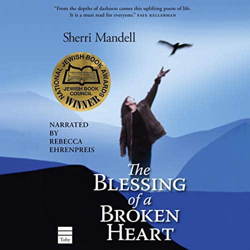 The-Blessing-of-a-Broken-Heart