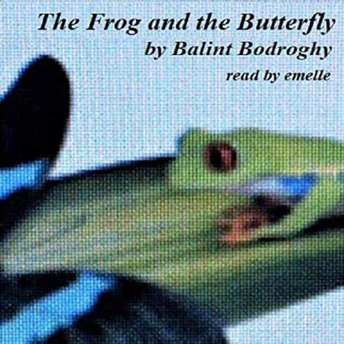 The-Frog-and-the-Butterfly
