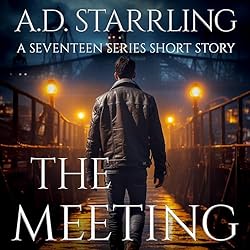 The-Meeting-Seventeen-Series-Short-Story-Book-3